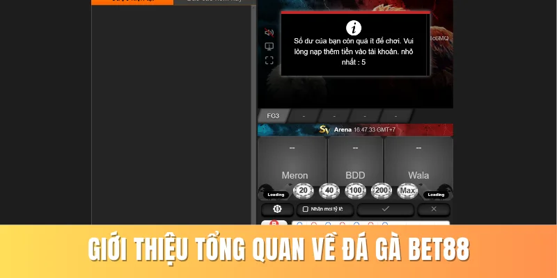 Giới thiệu tổng quan về đá gà BET88